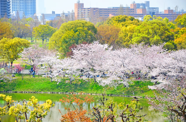 鶴見緑地公園