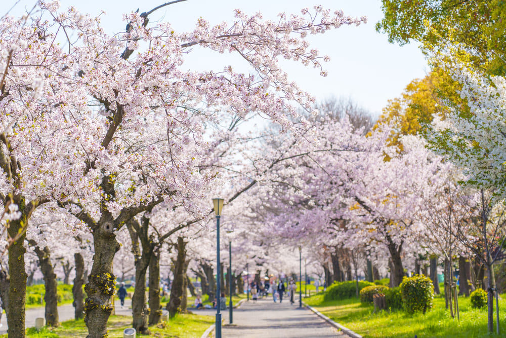 桜ノ宮公園